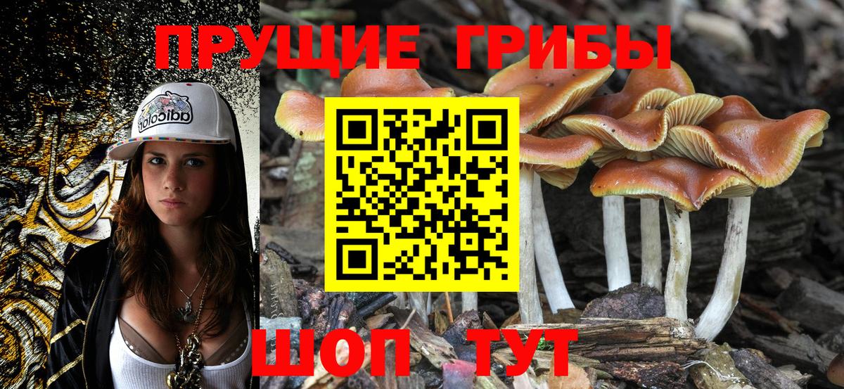 что такое   Вход с VPN  Псилоцибиновые грибы Psilocybine cubensis  Мегион  Галлюциногенные грибы мухоморы 