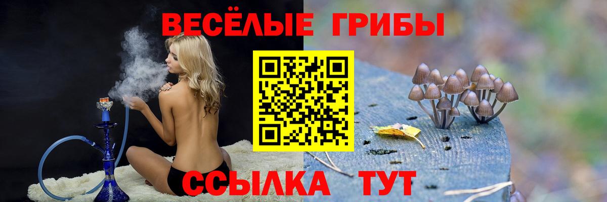 Галлюциногенные грибы мухоморы Мегион
